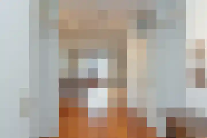 Logger 229 Amstelveen thumbnail 4