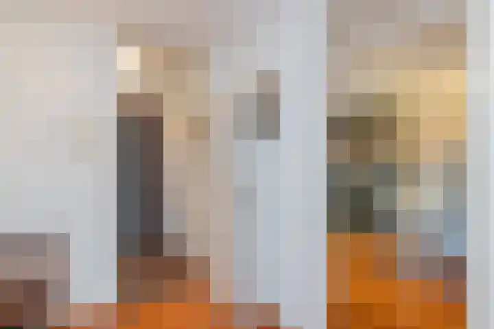 Logger 229 Amstelveen thumbnail 5