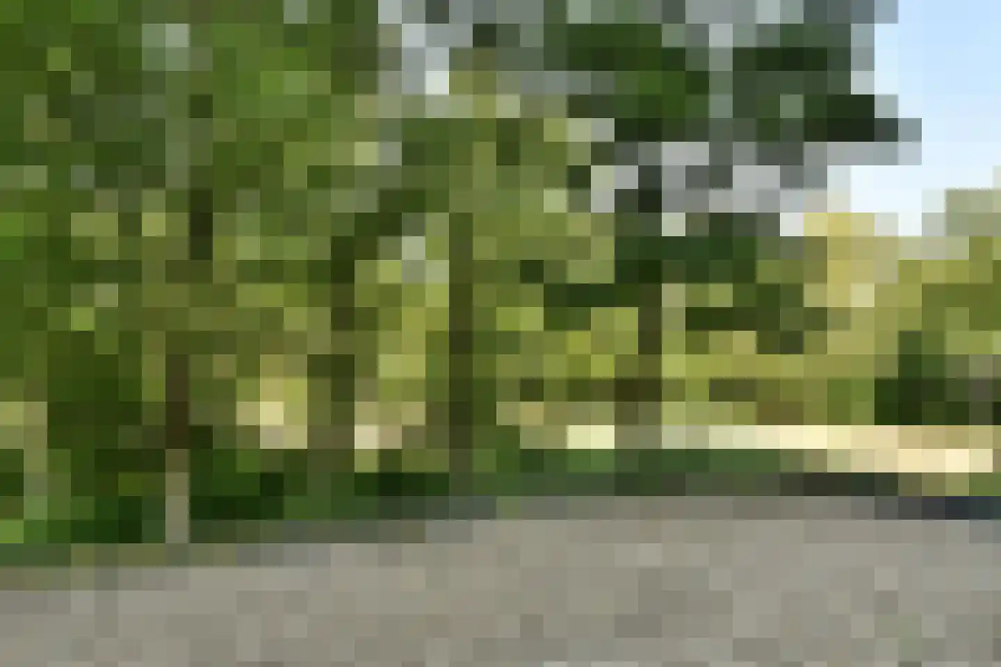 Logger 230 Amstelveen thumbnail 14