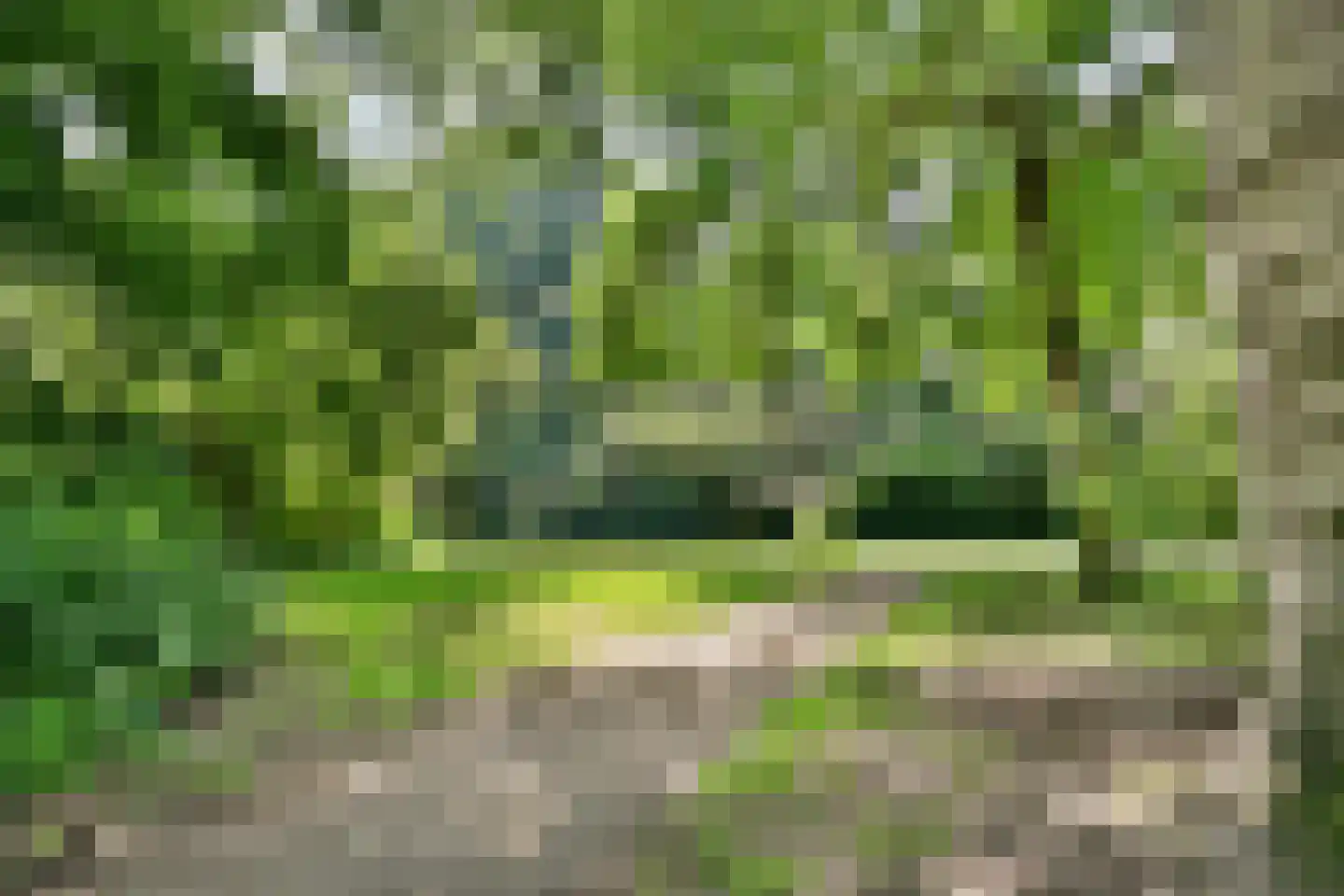 Logger 230 Amstelveen thumbnail 22