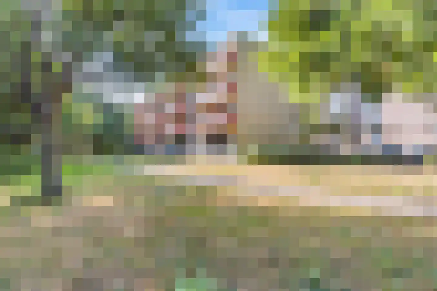 Logger 231 Amstelveen thumbnail 13