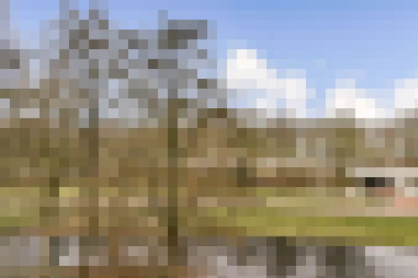 Logger 252 Amstelveen thumbnail 10
