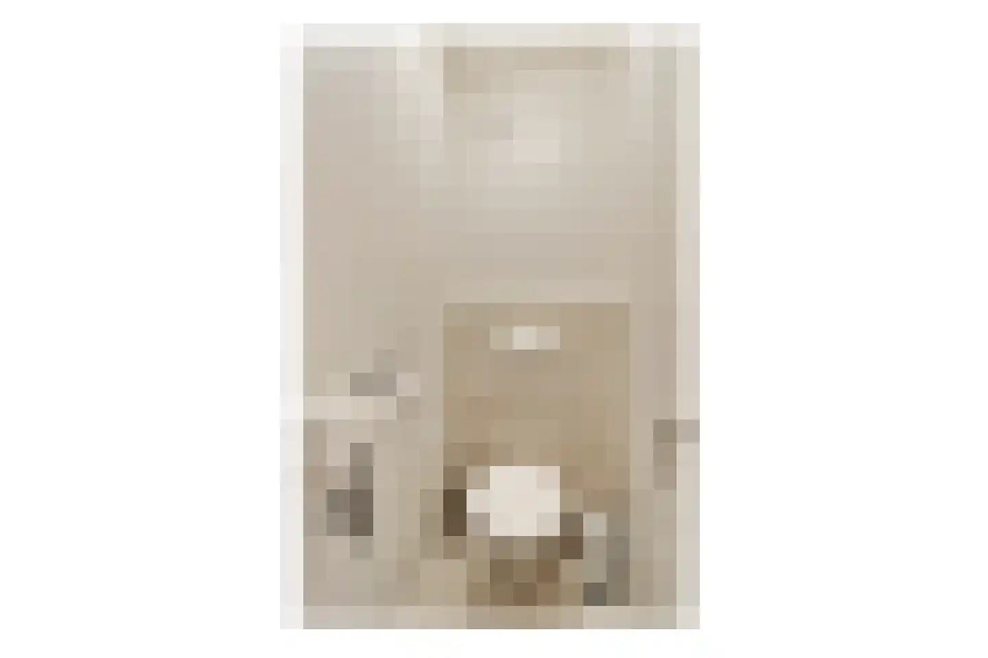 Logger 252 Amstelveen thumbnail 14
