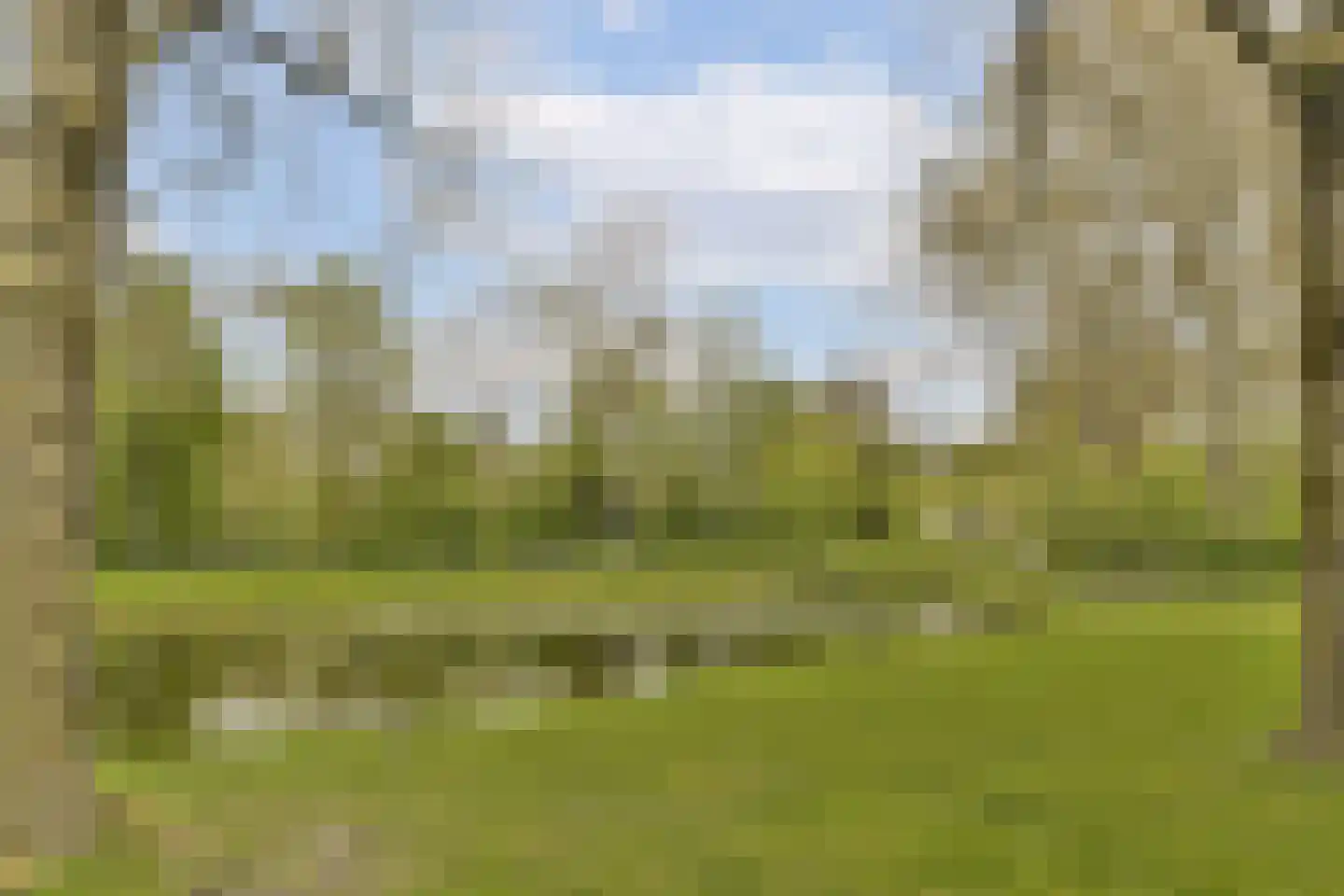 Logger 252 Amstelveen thumbnail 16