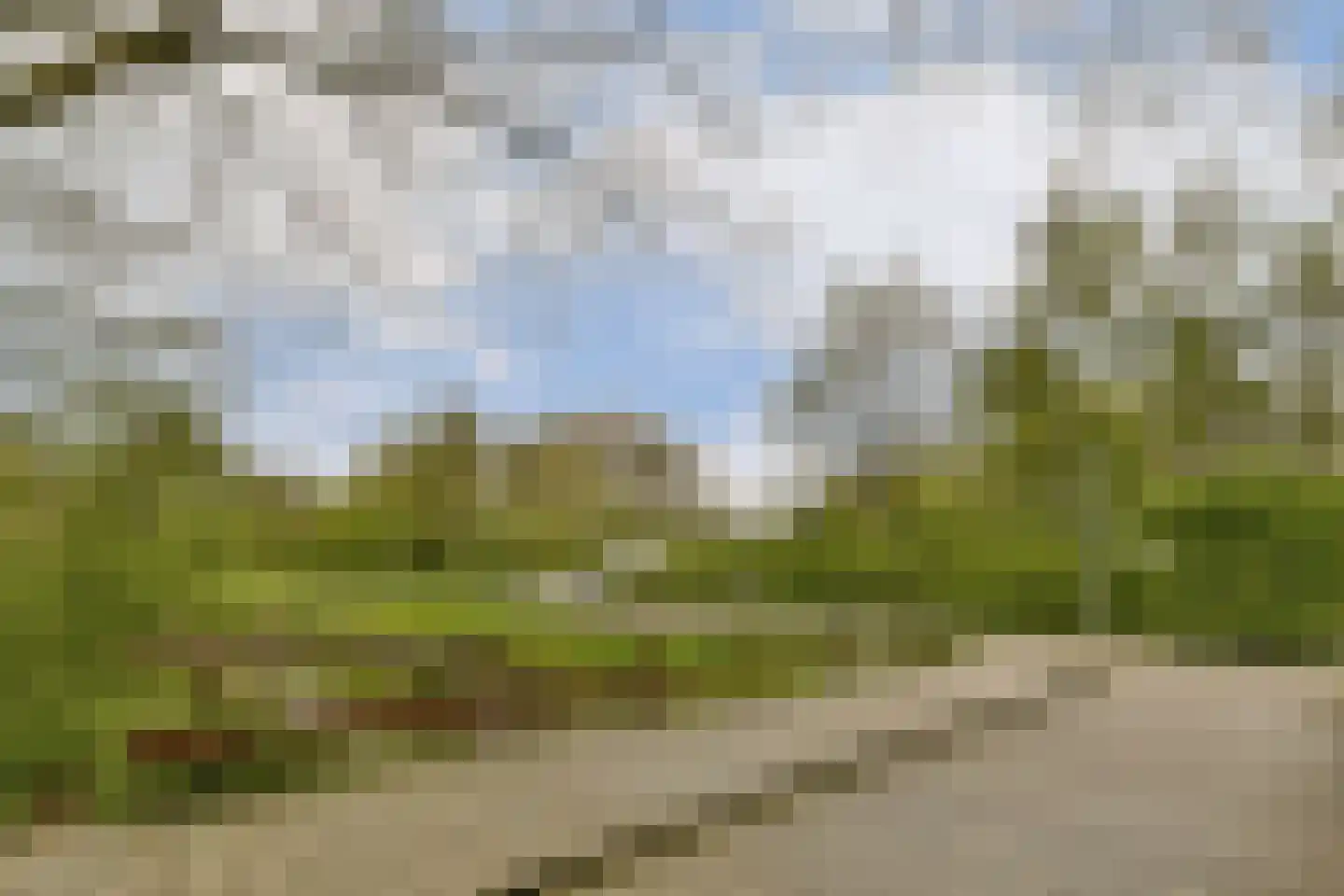 Logger 252 Amstelveen thumbnail 17