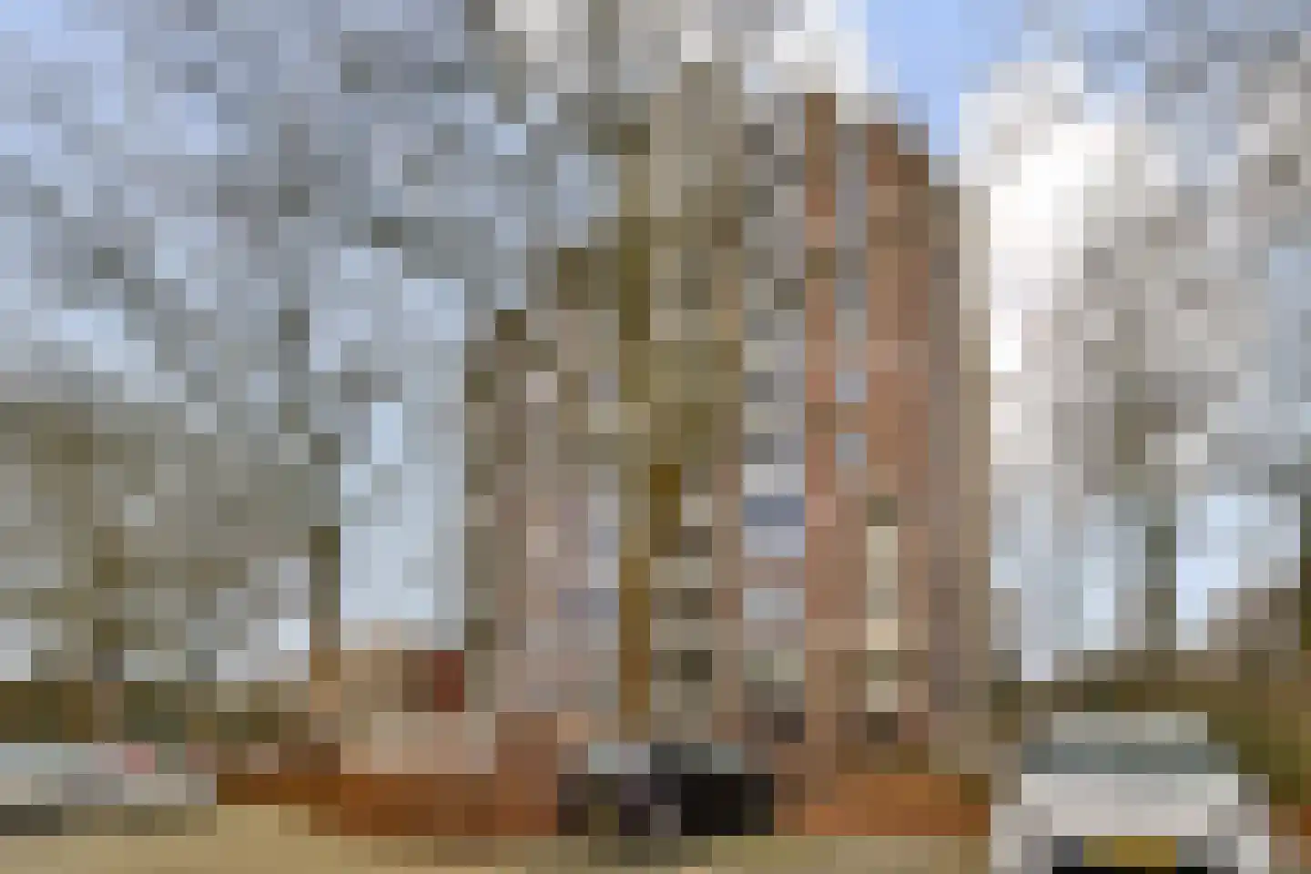 Logger 252 Amstelveen thumbnail 18