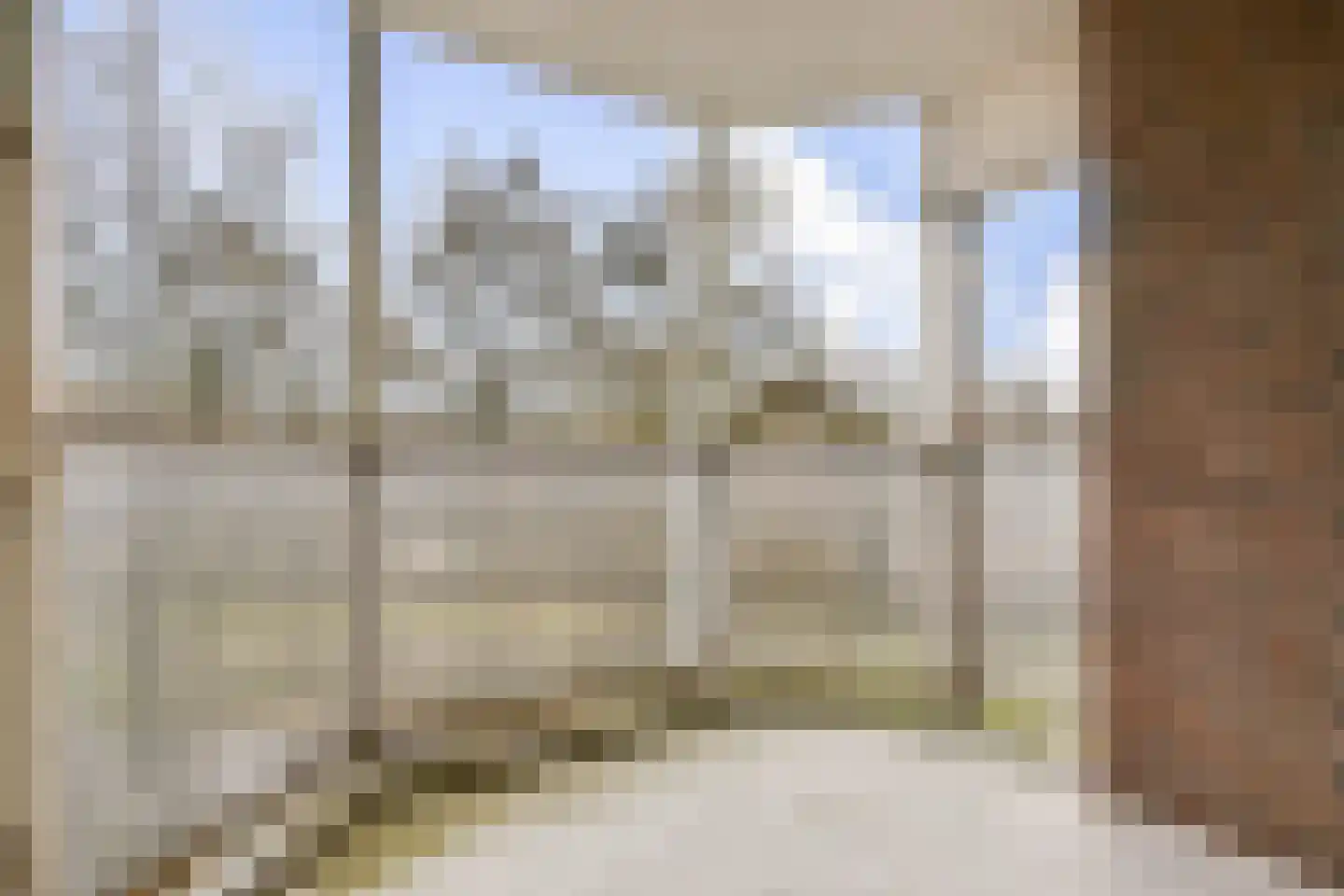 Logger 252 Amstelveen thumbnail 9