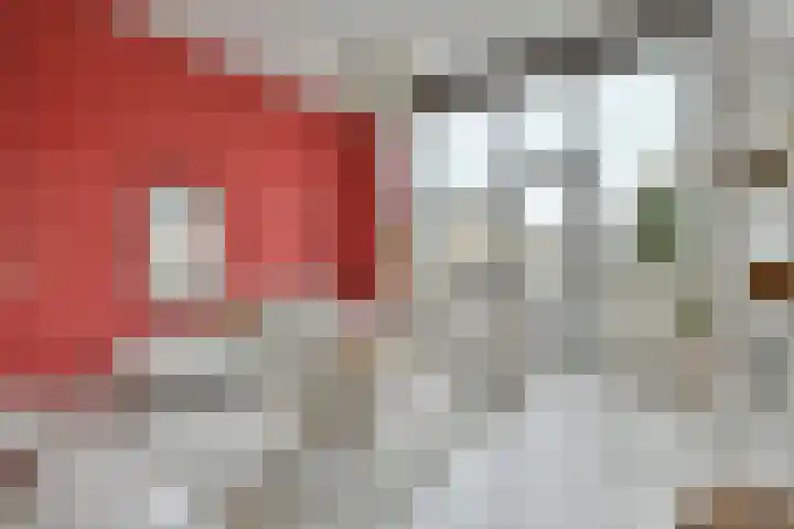 Logger 27 Amstelveen