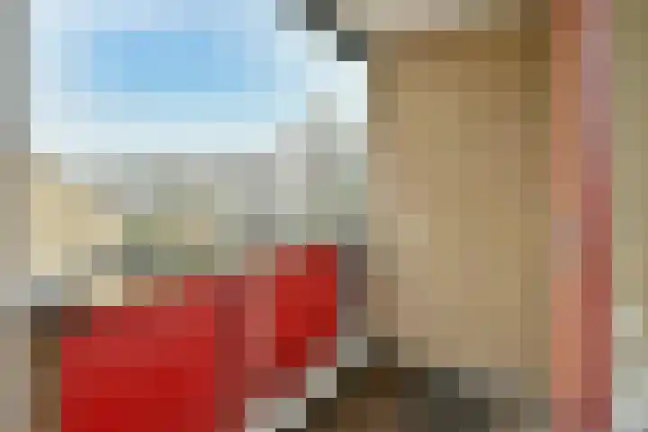 Logger 27 Amstelveen thumbnail 11
