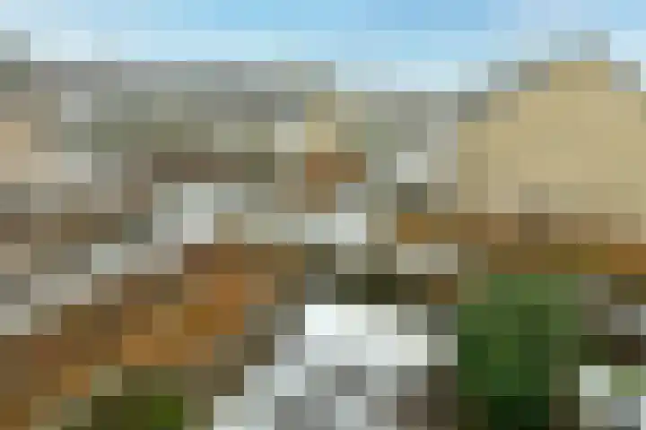 Logger 27 Amstelveen thumbnail 21