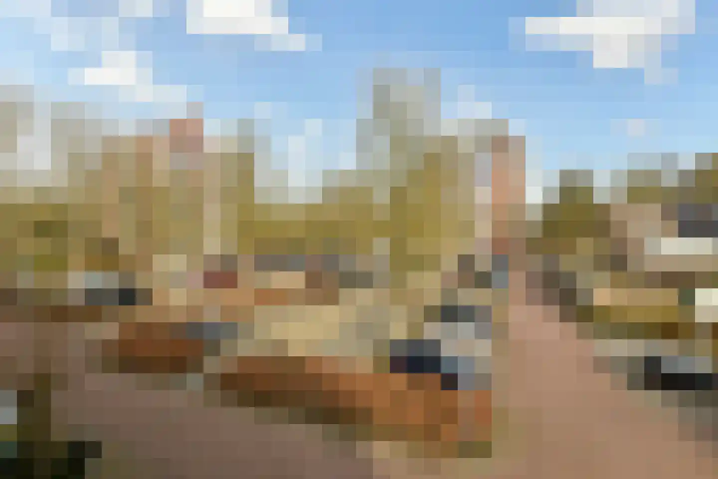 Logger 27 Amstelveen thumbnail 24