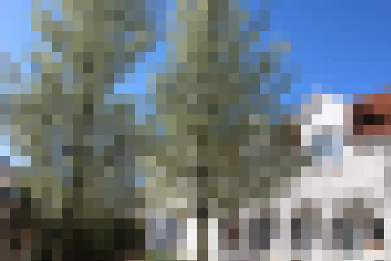 Logger 27 Amstelveen thumbnail 25