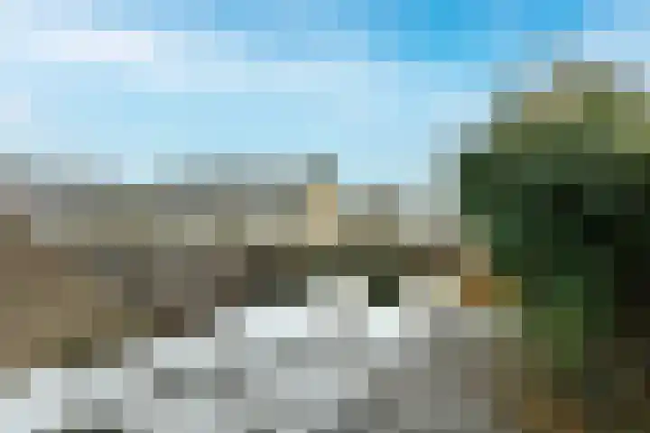 Logger 27 Amstelveen foto 3