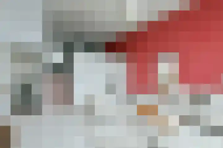 Logger 27 Amstelveen thumbnail 4