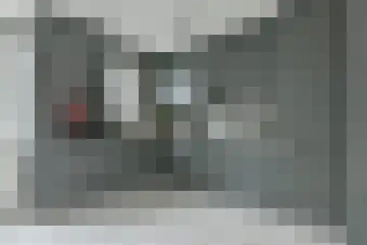 Logger 27 Amstelveen thumbnail 5
