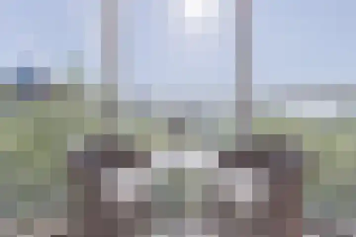 Logger 270 Amstelveen thumbnail 30