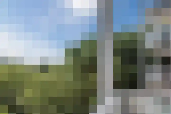 Logger 270 Amstelveen thumbnail 32