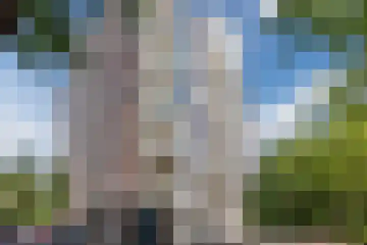 Logger 270 Amstelveen thumbnail 34
