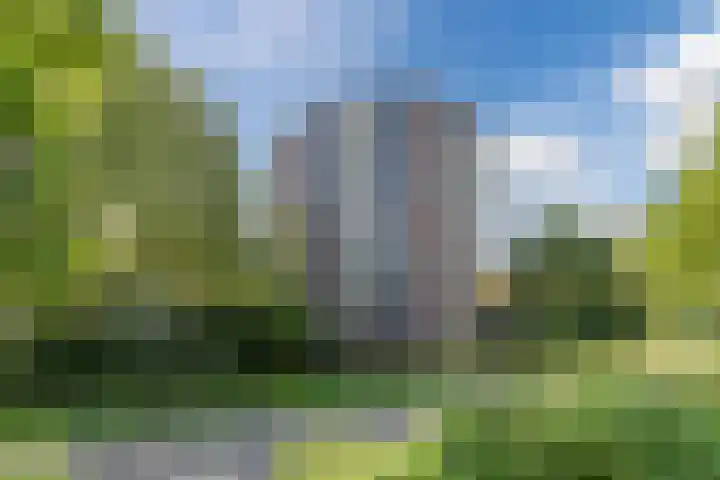 Logger 270 Amstelveen thumbnail 36