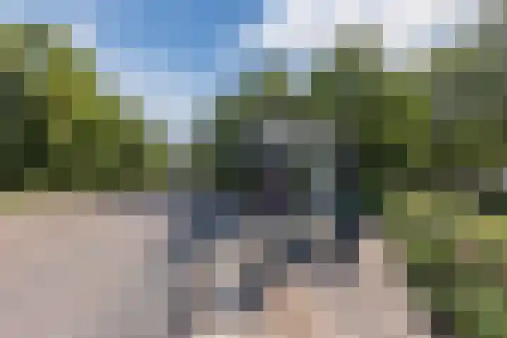 Logger 270 Amstelveen thumbnail 38