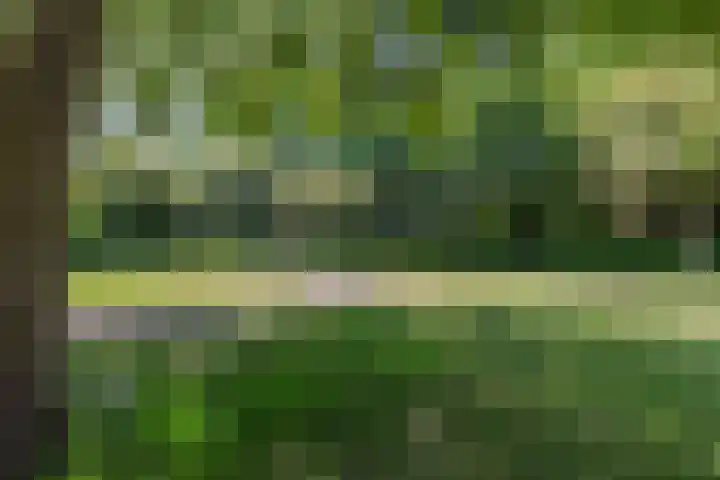 Logger 270 Amstelveen thumbnail 39