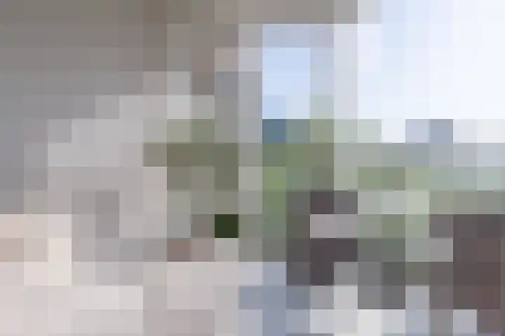 Logger 270 Amstelveen thumbnail 4