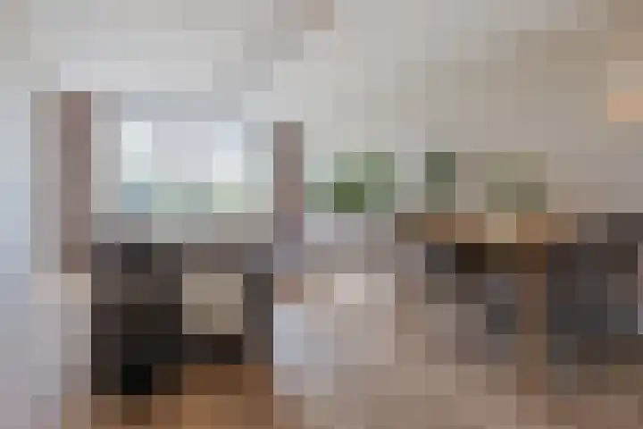 Logger 270 Amstelveen thumbnail 8