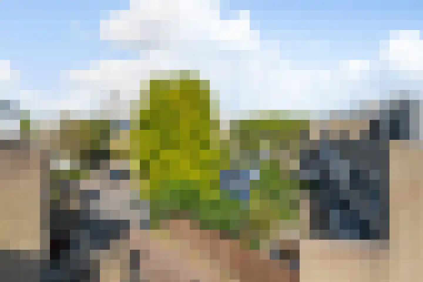 Logger 28 Maassluis thumbnail 35