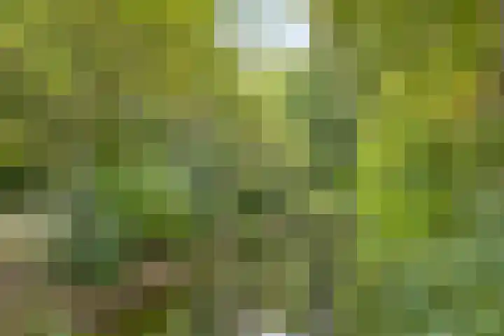Logger 284 Amstelveen thumbnail 23