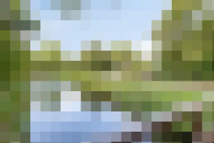 Logger 284 Amstelveen thumbnail 24