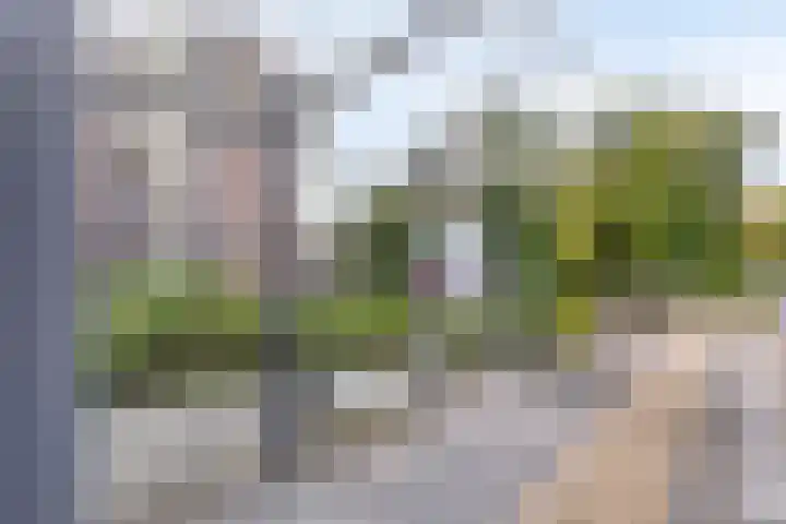 Logger 284 Amstelveen thumbnail 25