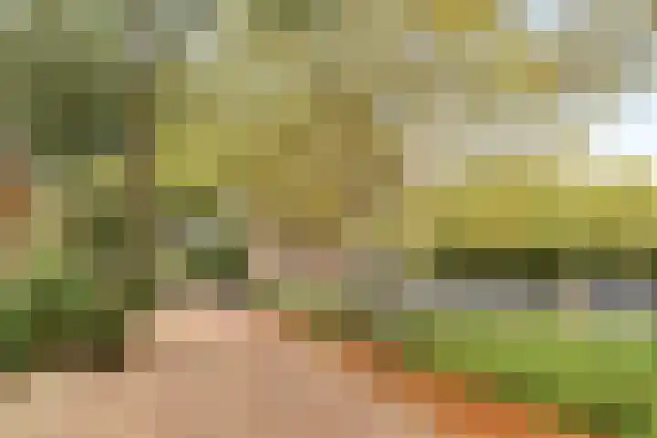Logger 284 Amstelveen thumbnail 31