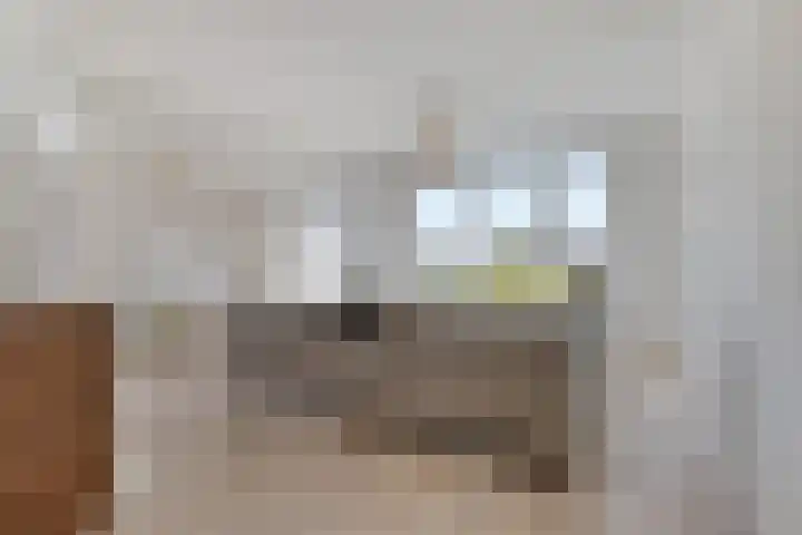 Logger 284 Amstelveen thumbnail 33