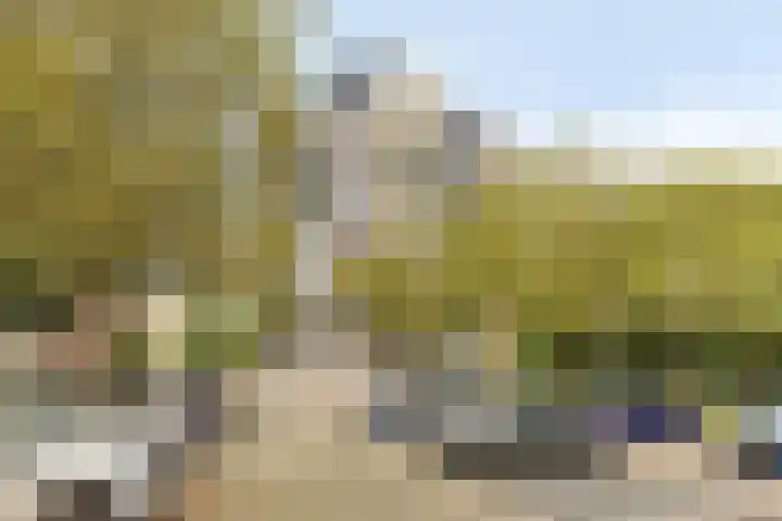 Logger 284 Amstelveen thumbnail 5