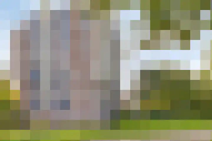 Logger 284 Amstelveen thumbnail 6