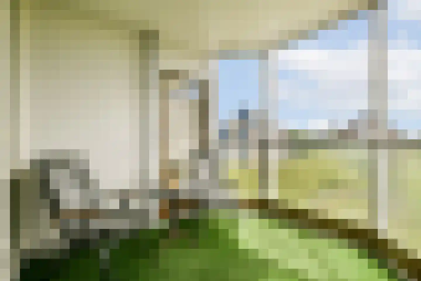 Logger 294 Amstelveen thumbnail 12