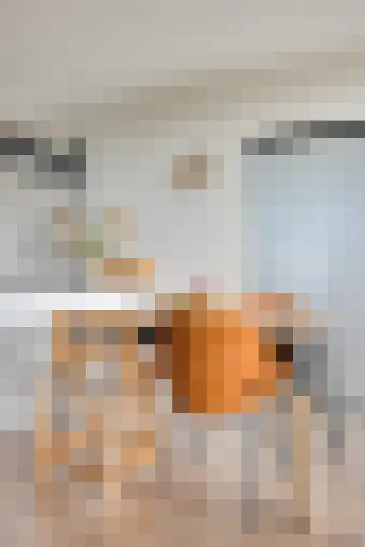 Logger 296 Amstelveen thumbnail 20