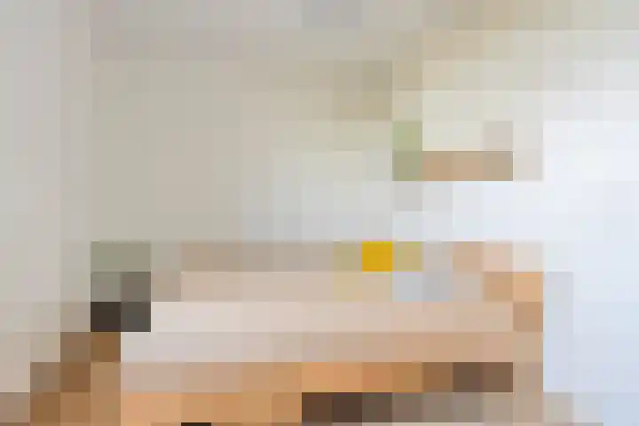 Logger 296 Amstelveen thumbnail 21