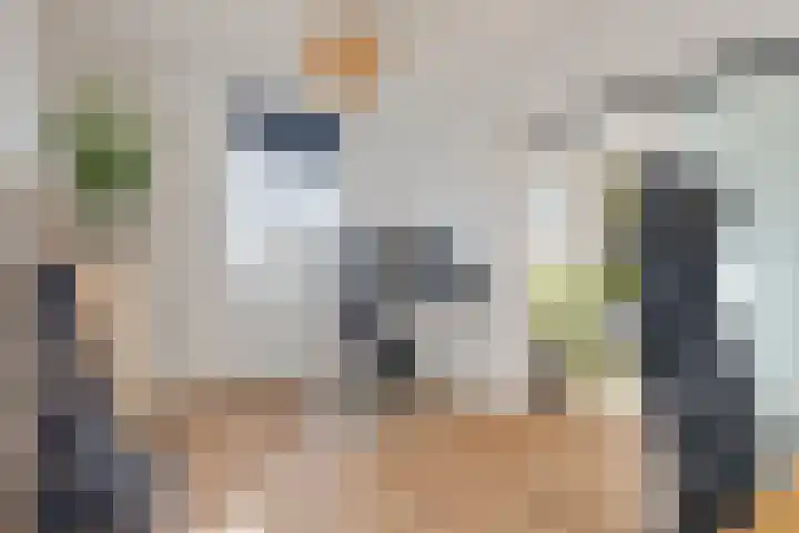 Logger 296 Amstelveen thumbnail 25