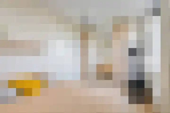 Logger 296 Amstelveen thumbnail 27