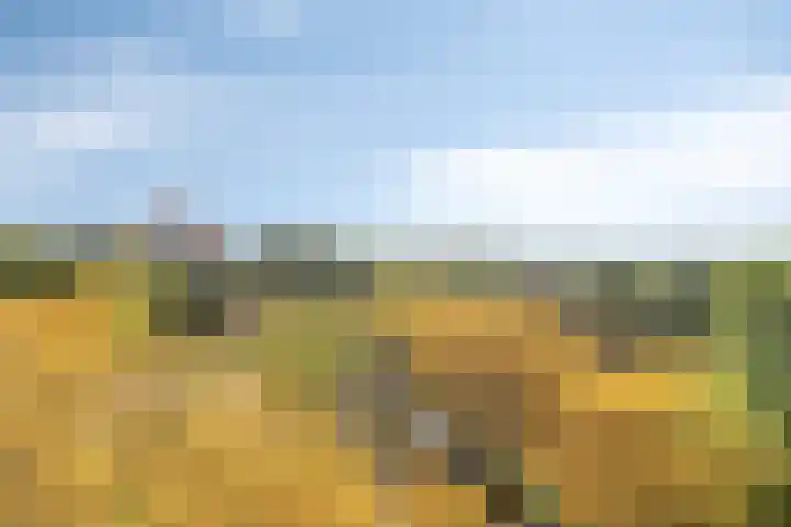 Logger 296 Amstelveen thumbnail 33