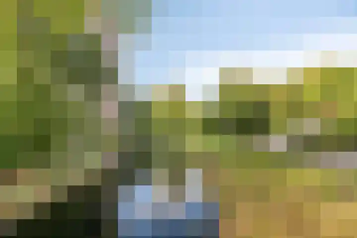 Logger 296 Amstelveen thumbnail 34