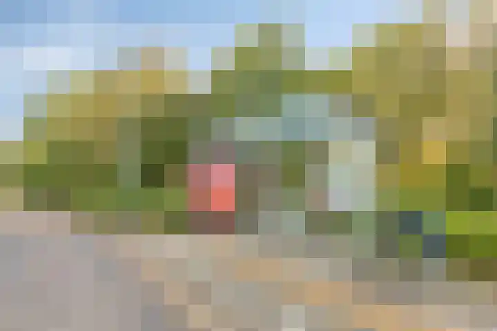 Logger 296 Amstelveen thumbnail 35