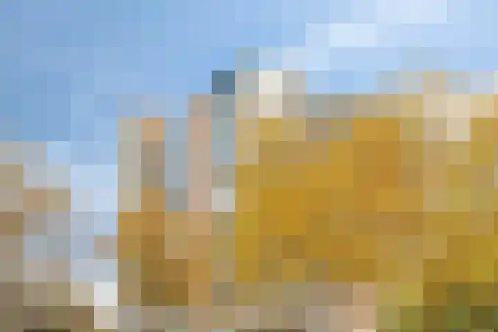 Logger 296 Amstelveen thumbnail 39