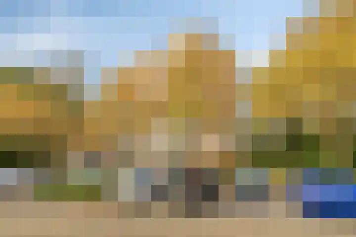 Logger 296 Amstelveen thumbnail 41