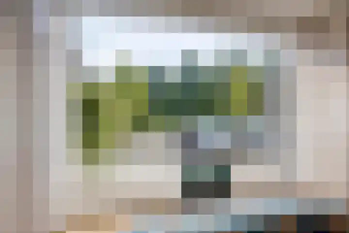 Logger 30 Volendam thumbnail 11