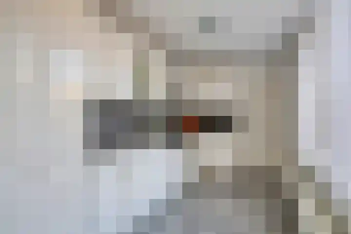 Logger 30 Volendam thumbnail 13