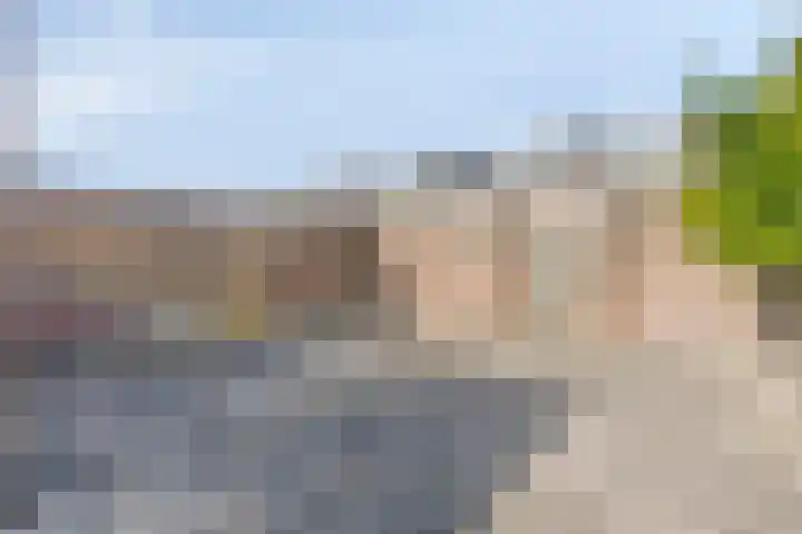 Logger 30 Volendam thumbnail 28