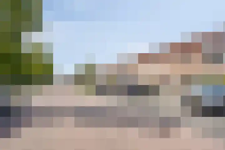 Logger 30 Volendam thumbnail 31