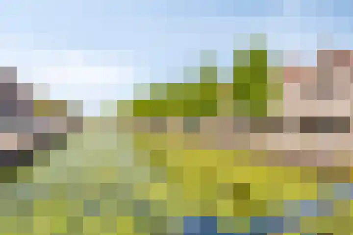 Logger 30 Volendam thumbnail 33